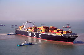 國(guó)際貨運(yùn)與倉(cāng)儲(chǔ)運(yùn)輸一體化 構(gòu)建高效全球供應(yīng)鏈的關(guān)鍵