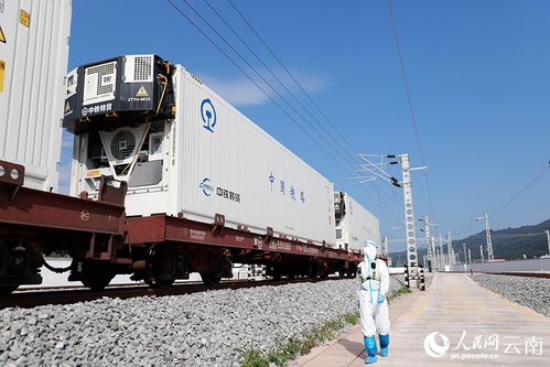 從磨憨鐵路口岸到舌尖上的自由 道路貨物運(yùn)輸如何打通美食新絲路