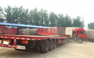 貨運(yùn)從業(yè)資格證調(diào)整遇阻 有駕照仍需資格證，道路貨物運(yùn)輸規(guī)范化進(jìn)程中的陣痛